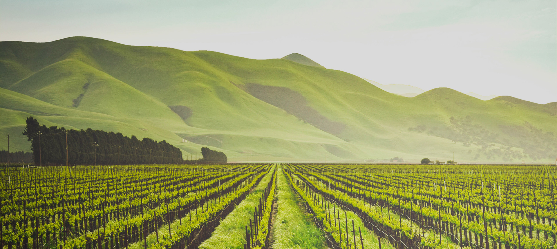 日常生活的商品